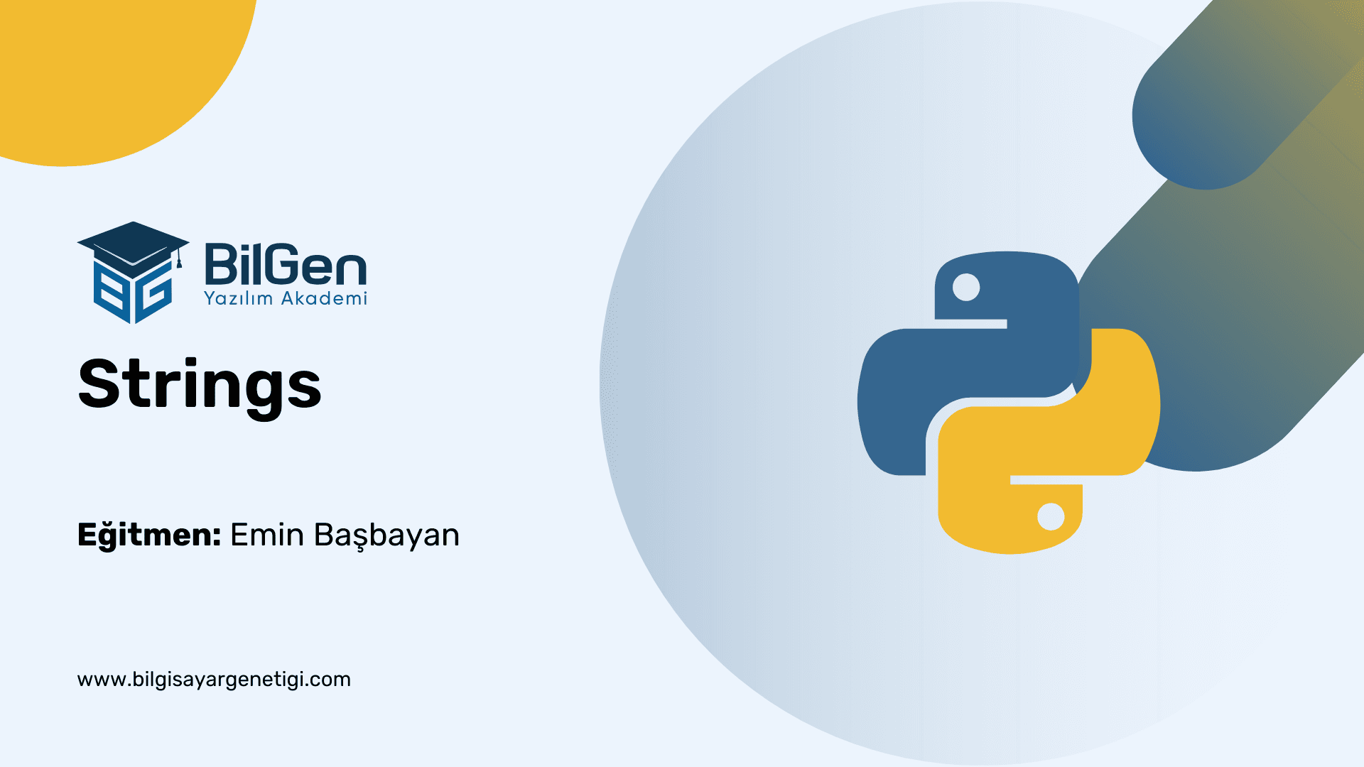 Python'da Metin İşleme: Strings